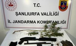 Şanlıurfa'da operasyon, 42 gözaltı