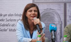 Eşbaşkan Bucak açıkladı: Diyarbakır’daki o burcun ismi değiştirilecek