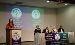 Tülay Hatimoğulları: Komisyon acilen Öcalan ile görüşmeli
