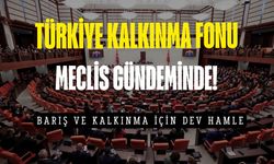 Barış, yatırım, kalkınma için dev hamle! Fon önerisi TBMM'de