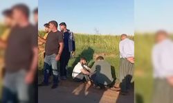 Urfa'da hareketli dakikalar: Aracı kurşunlayan iki saldırgandan biri tarlada yakalandı