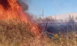 Diyarbakır’da yangın paniği, herkes seferber oldu