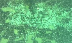 12 bin yıllık kaya resimleri su altında görüntülendi