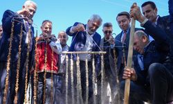 Diyarbakır'da geleneksel bağ bozumu etkinliği