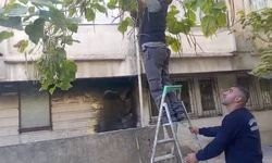Ekspres yazdı, Diyarbakır’daki o yer için belediye harekete geçti