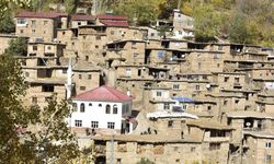 Bitlis ve Van arasında dikkat çeken bir köy!