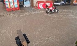 Diyarbakır'ın bu iki ilçesi sağanak yağışla göle döndü