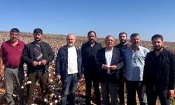 CHP’li Tanrıkulu, Diyarbakır’da pamuk tarlasından seslendi
