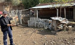 CİMER'e ‘İnek’ ve ‘tavuk’ başvurusu şaşırttı!