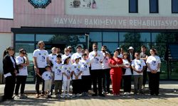 DBB Eş Başkanı Hatun: “Hayvanların yaşam hakkı insanlar kadar kutsaldır”