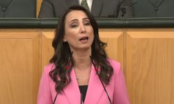 DEM Parti'den komisyonun Öcalan'ı dinlemesi çağrısı