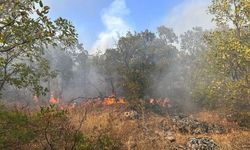 Diyarbakır’ın Dicle ilçesindeki yangın 7 saat sonra söndürülebildi