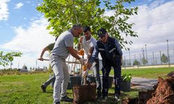 Diyarbakır Bağlar yeşilleniyor