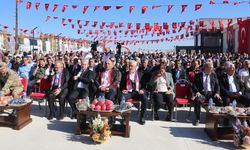 Diyarbakır'da "Kral Yolu Yürüyüşü, Bağ Bozumu ve Nar Festivali"