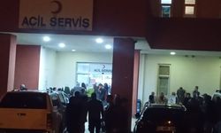 Diyarbakır’da eşeğin yularına takılıp sürüklenen çocuk hayatını kaybetti