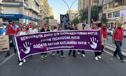 Diyarbakır’daki yürüyüşte “ölüm kampları” çıkışı