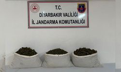 Diyarbakır Lice’de operasyon