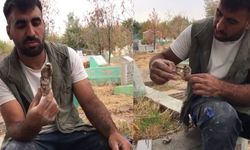 Diyarbakır’da mezarlıkta şok eden bir büyü bulundu