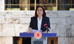 Diyarbakır milletvekili kadın cinayetlerine isyan etti