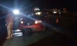 Diyarbakır’da yolda doğum yapan manda, yavrusuyla otomobil altında kaldı