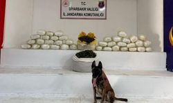 Diyarbakır'da 51 kilo skunk ile 42 kilo esrar ele geçirildi