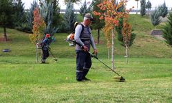 Diyarbakır’da ekipler budama seferberliğinde