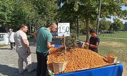 Diyarbakır'da faydaları saymakla bitmeyen meyve tezgahlarda