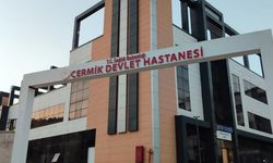 Diyarbakır’da korkunç olay: Araçtan indirdiği kadını bıçaklayıp kaçtı