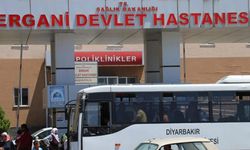 Diyarbakır’da kuduz can aldı, konu Meclis’e taşındı