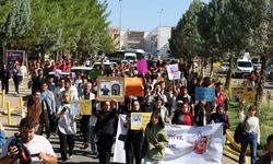 Diyarbakır’da Rojin Kabaiş için yürüdüler