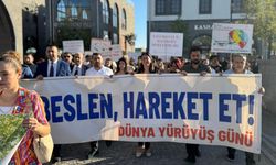 Diyarbakır’da sağlıklı yaşam yürüyüş yaptılar