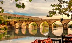 Diyarbakır’da yetişiyor, dünyada eşi yok: Bu mor hazine şifa saçıyor!