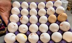 Diyarbakır'da yoksulun tercih ettiği kırık yumurtada büyük tehlike!