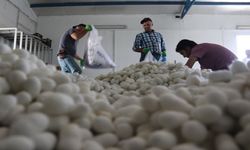 Diyarbakır’da zarafetin ve emeğin simgesi dünyaya açılıyor