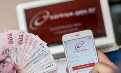 e-Devlet’e girmeyen kaybedecek! Hak edilen paralara devlet el koyuyor