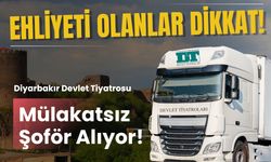 Ehliyeti olanlara devlet kadrosu: Diyarbakır Devlet Tiyatrosu şoför arıyor!