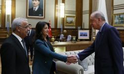 Erdoğan ile görüşme sonrası DEM Parti'den açıklama