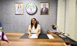 İmza kampanyasından sonra Diyarbakır DEM’den büyük yürüyüş kararı