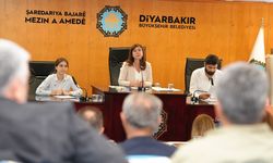 İsviçre’den Diyarbakır projesine destek