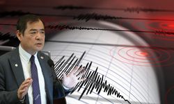Japon deprem uzmanı korkuttu ve bir bölgeyi işaret etti