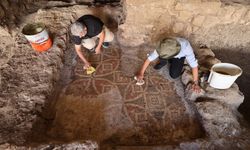 Mardin'de 1500 yıllık mozaik bulundu