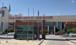 Mardin’de vahşet! Yanmış erkek cesedi bulundu