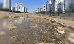 Sosyete mahallesini lağım suyu bastı