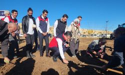 Tarım Bakanı Tunceli’de dağ sarımsağı ekti