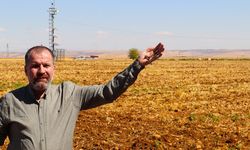 Diyarbakır'da çiftçinin alın teri tarlada kurudu: Tarım SOS veriyor