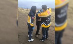 Yanına yıldırım düşen çoban yaralandı