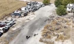 Yediemin parkındaki araçlar yağmalandı