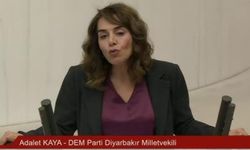 Diyarbakır’da kadınlara evlerinde saldırı: Milletvekili Kaya’dan tepki