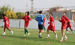 Amedspor, hükmen galip sayıldı