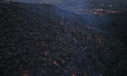 Aydın’daki yangın büyük ölçüde kontrol altına alındı